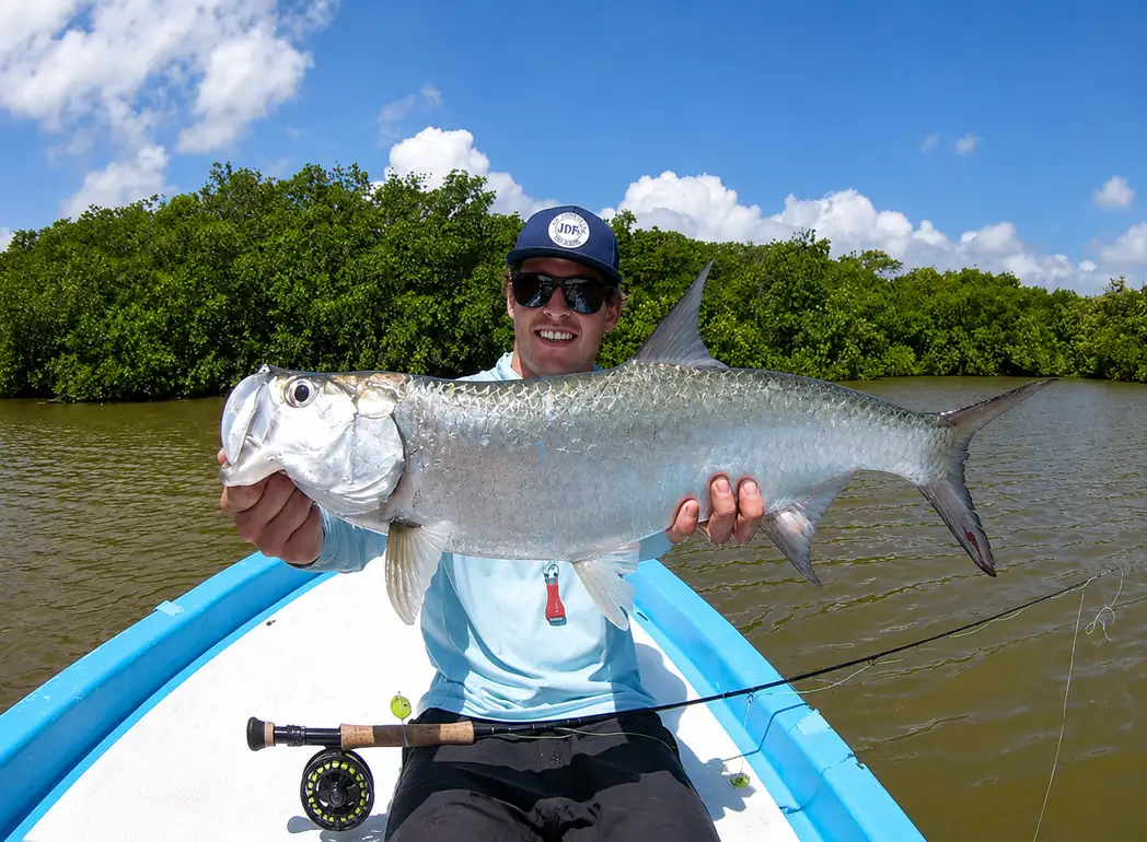 Tarpon caught while fly fishing Ascension Bay