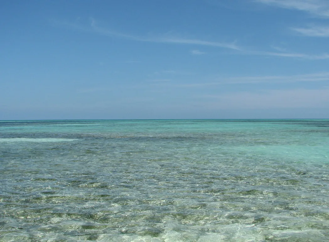 Shallow flats of Ascension Bay in the Riviera Maya