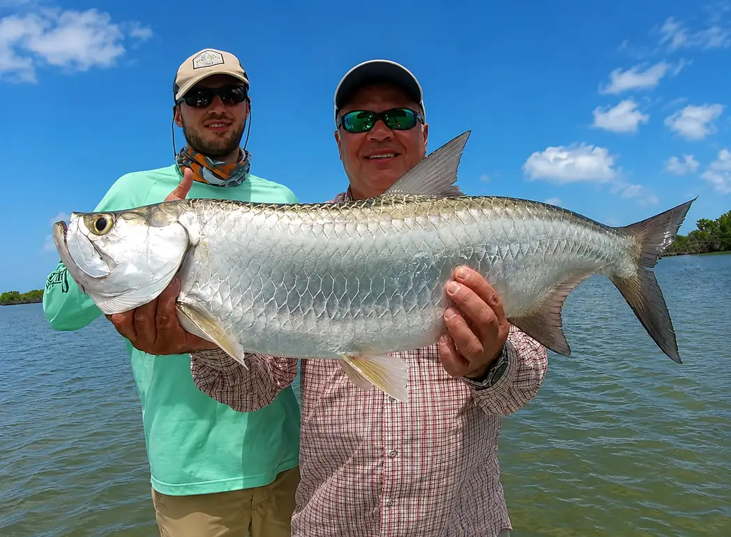 Tarpon caught while fly fishing Ascension Bay