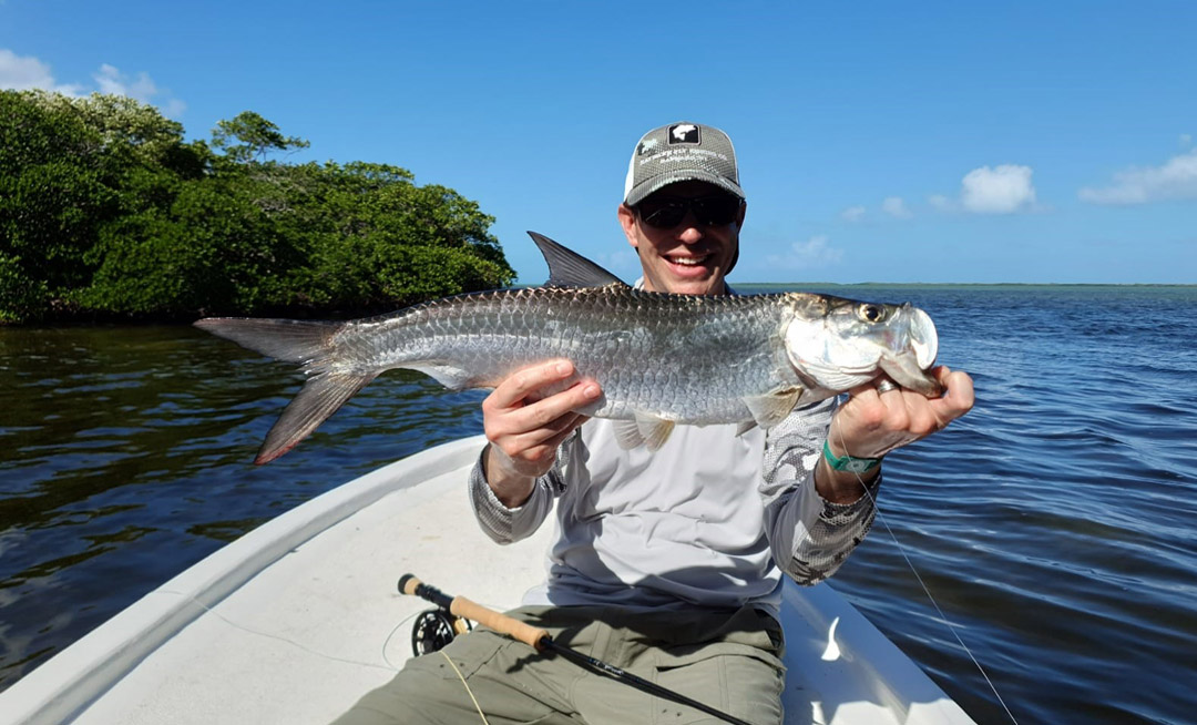 Tarpon Cancun