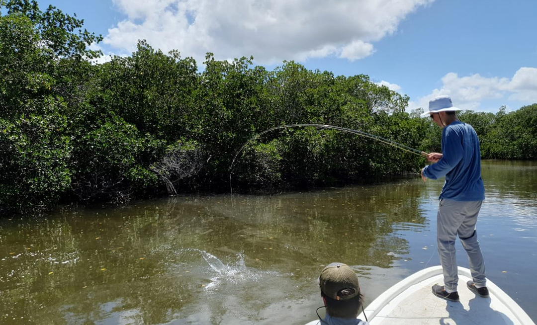 Fly Fishing Ascension Bay Flats