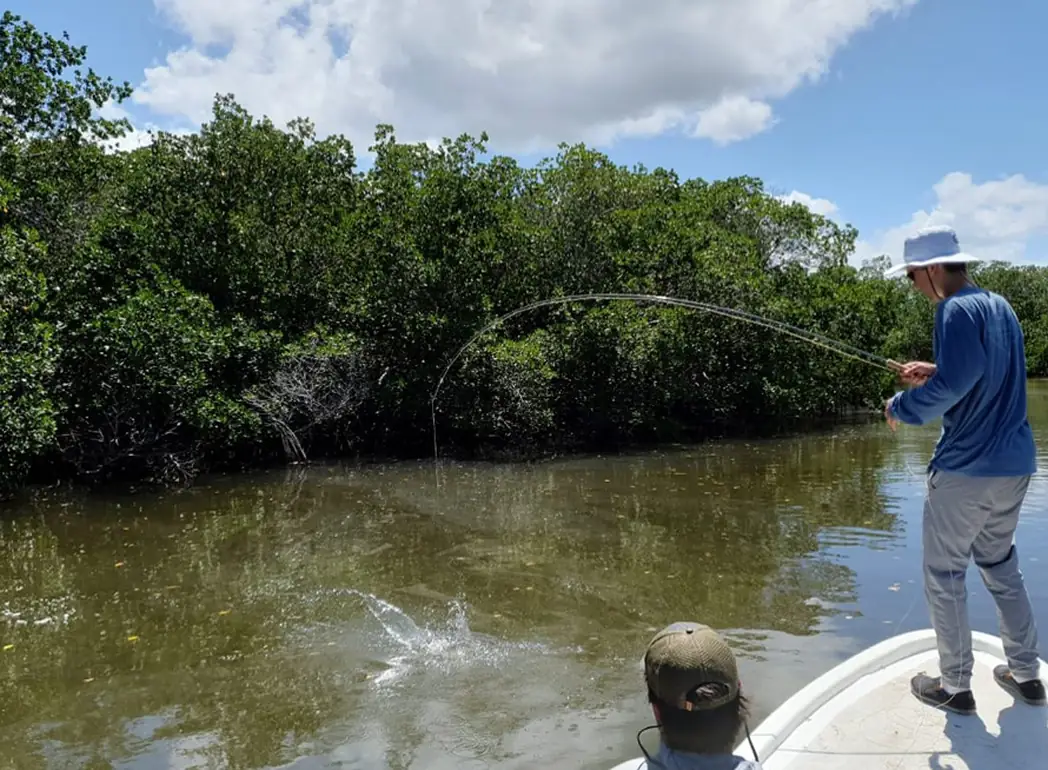 Fly fishing the mangrove waters of Cancun Lagoon